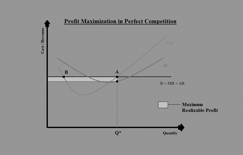 Profit Maximization in Perfect Competetion CFA Level 1 Economics Study Notes