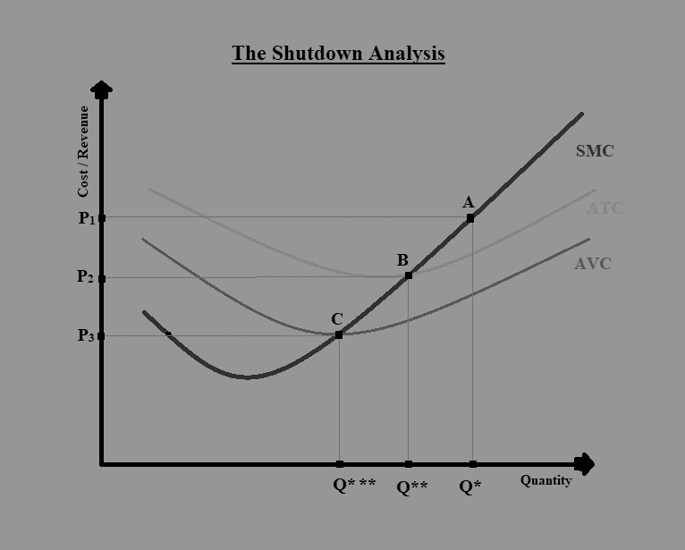 Shut Down Analysis CFA Level 1 Study Notes