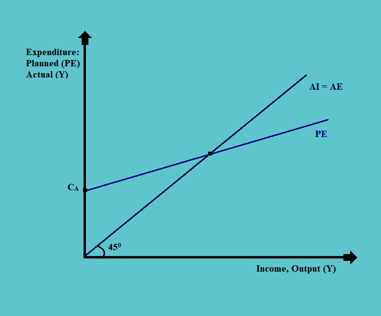 actual expenditure and planned expenditure CFA Level 1 Economics Study Notes