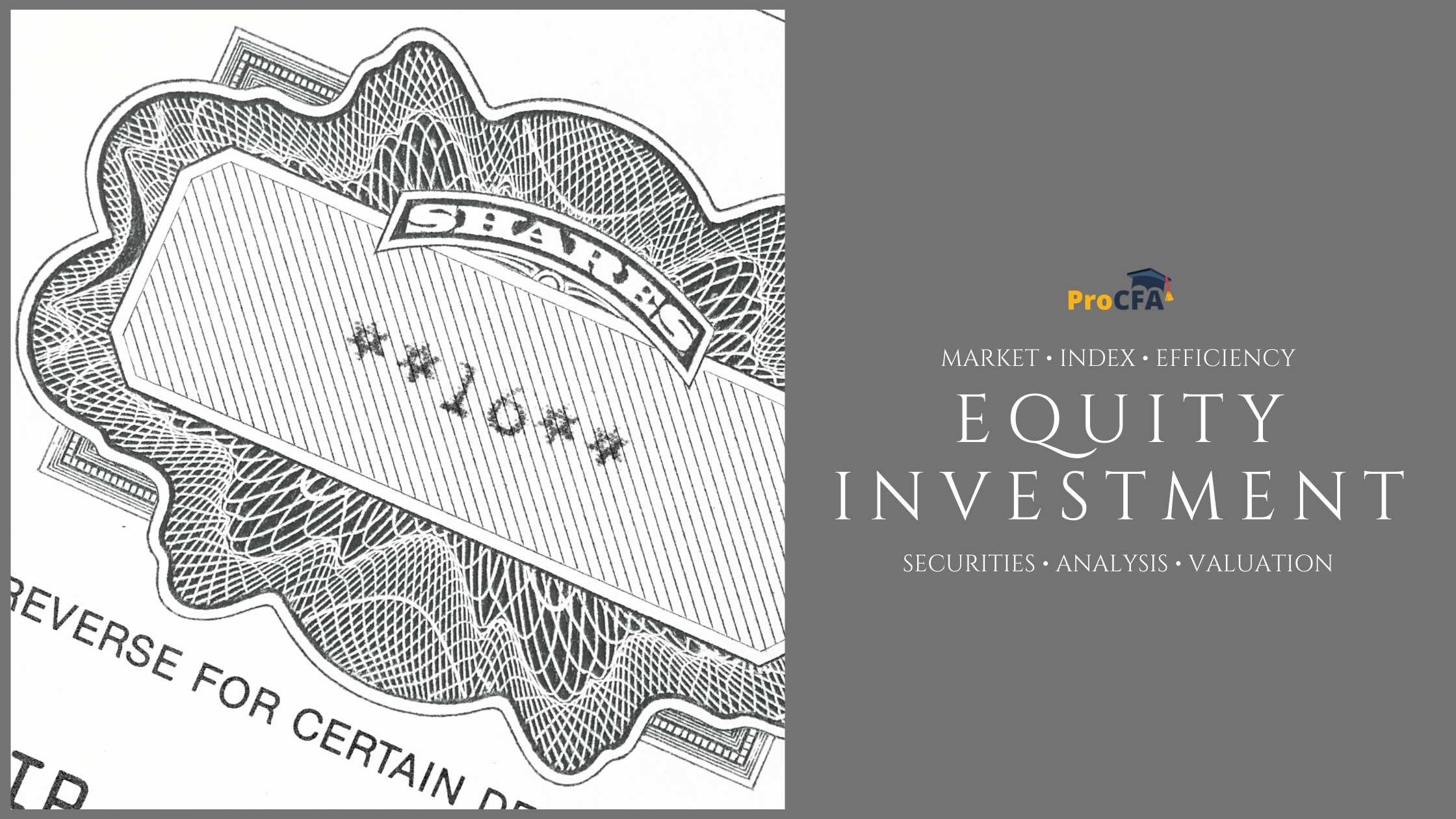 Equity Investments