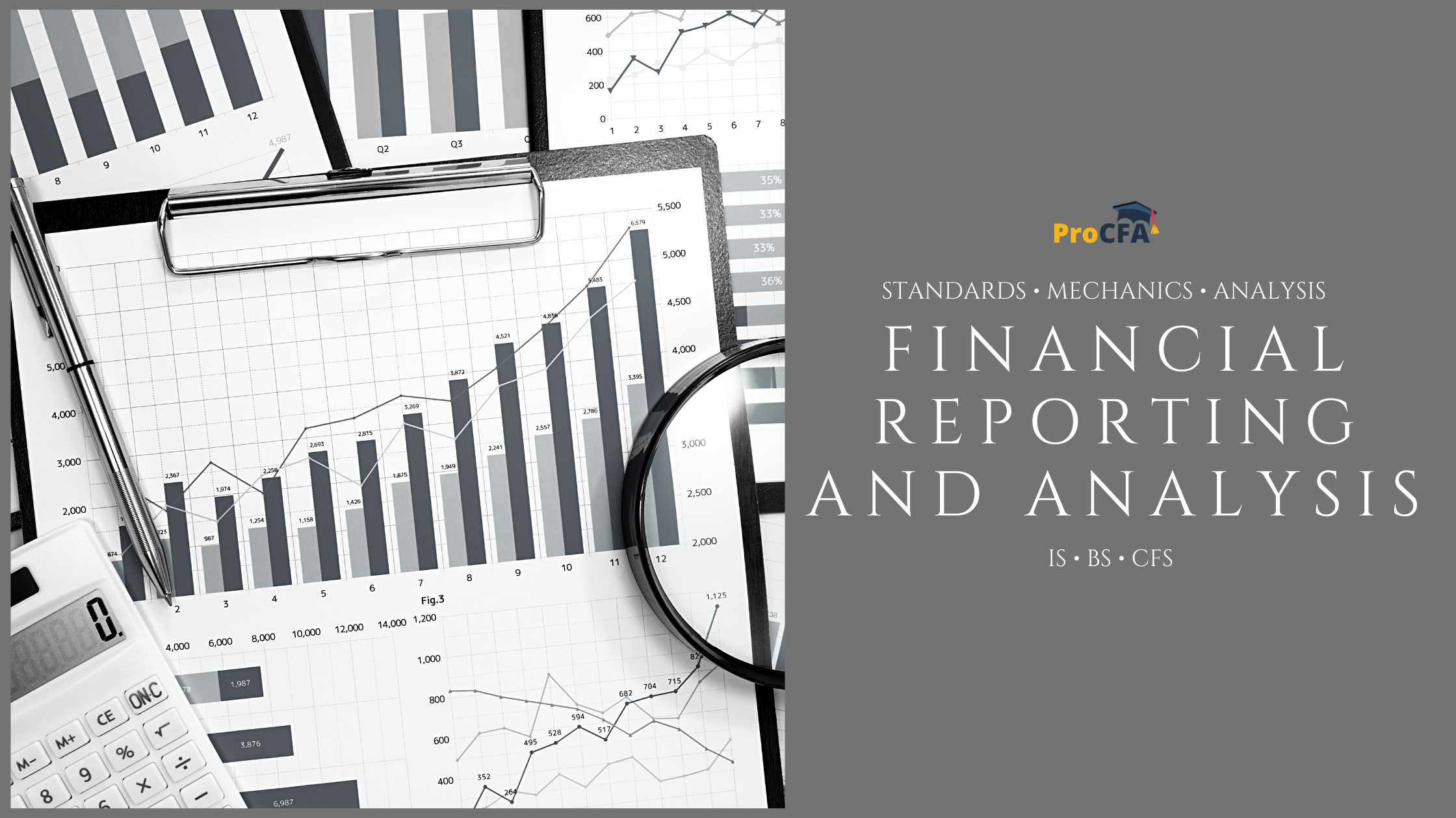 financial reporting research paper